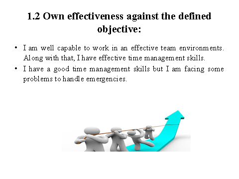 own effectiveness against the defined objective